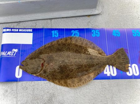 極寒でもヒラメが釣れるのは熱いにゃ！