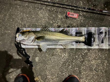 だんだん秋らしくなってきたかなぁ