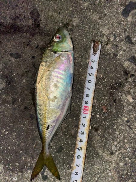 釣り場　三箇所