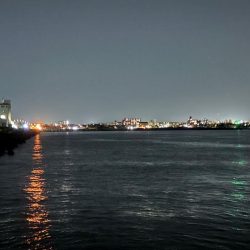 アジ②、メバル39