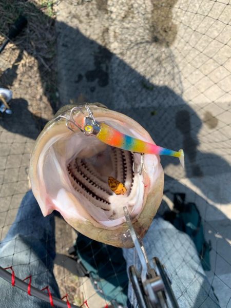 デイシーバスで初めて釣れた!