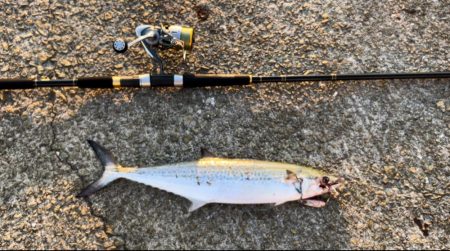 ⭐️今シーズン…