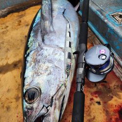 志摩トンジギでタネトンが出た!