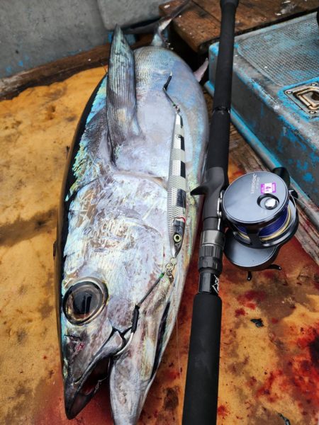 志摩トンジギでタネトンが出た!