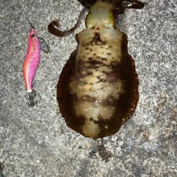 オモツライ。一杯。( ;∀;)