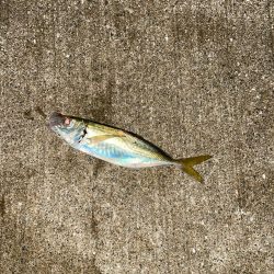 外は寒いが海は熱い