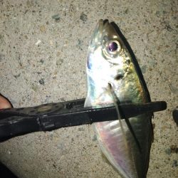 フロートゲーム~