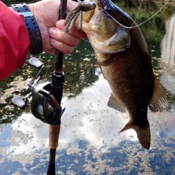 パンチショット!