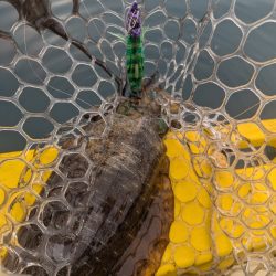 秋キロup最高ー!