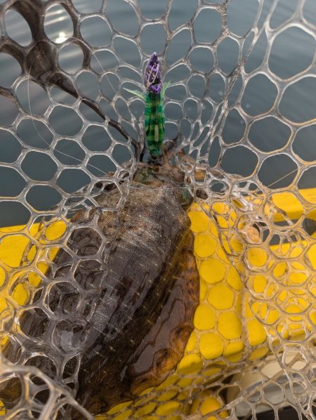 秋キロup最高ー!