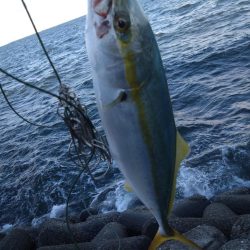 爆風ショアジギング!