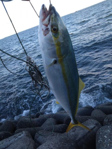 爆風ショアジギング!