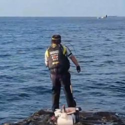 和歌山市江(吉丸渡船)でグレ釣り2日目