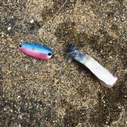 ハイブリッド釣法でアカハタGET