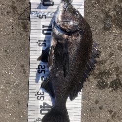 イチノ兄弟、釣果!