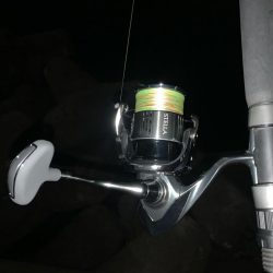 ステラ デビュー!