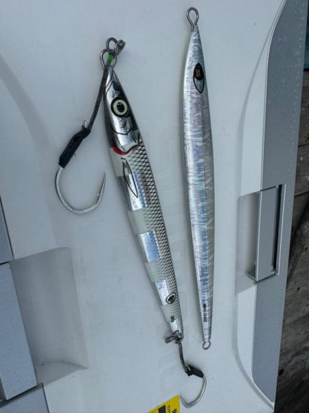 志摩トンジギでタネトンが出た!