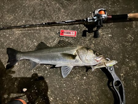 【ジョインテッドクロー】時には強気に攻めるのが吉!