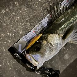 だんだん秋らしくなってきたかなぁ