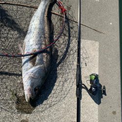 デイシーバスで初めて釣れた!