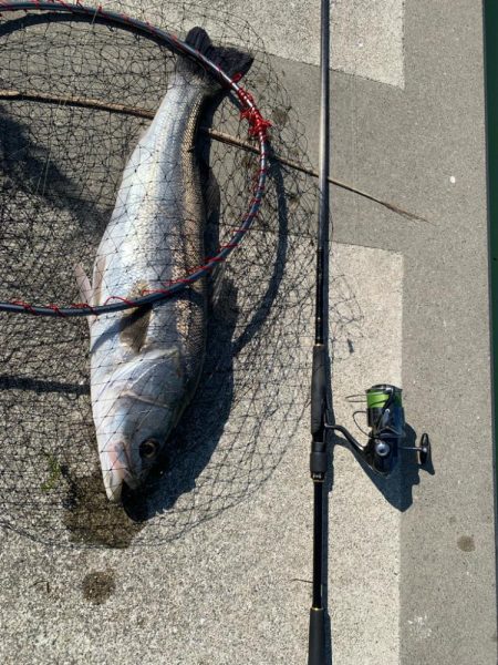 デイシーバスで初めて釣れた!