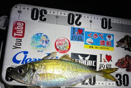 尺アジング?