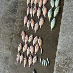 海上釣堀みさき