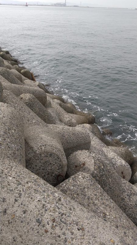 小さいなぁ～（涙）