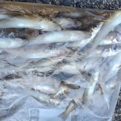 今年最高に迫る!