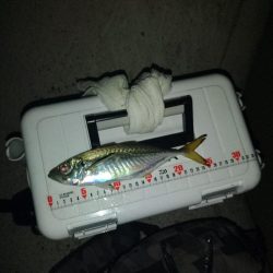 フロートゲーム~