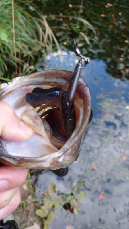 パンチショット!