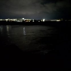 ナイトゲームでヒラセイゴをゲット!