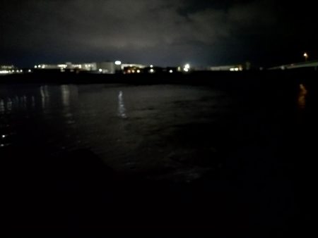 ナイトゲームでヒラセイゴをゲット!