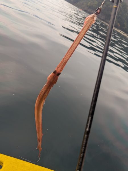 秋キロup最高ー!