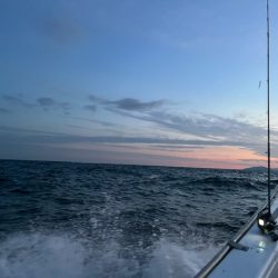 今季２回目の大分テンヤタチウオに行って来ました