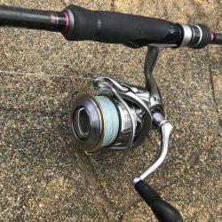 ハイブリッド釣法でアカハタGET