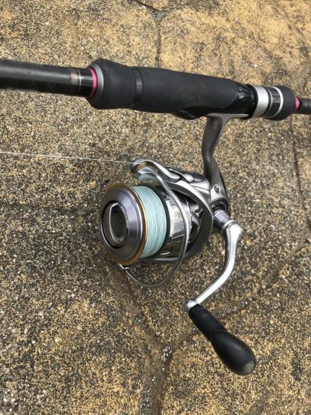 ハイブリッド釣法でアカハタGET