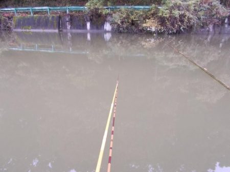 隠れ谷池(管理釣り場 橋本市) ヘラブナ釣り 6枚