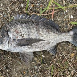 イチノ兄弟、釣果!