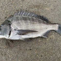 イチノ兄弟、釣果!