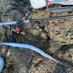 南紀の磯でフカセ釣り