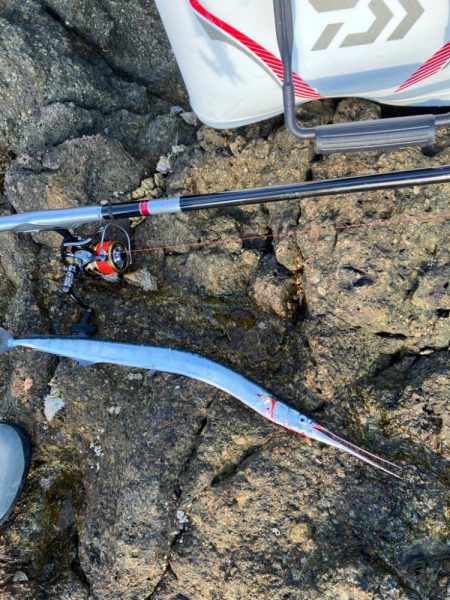 南紀の磯でフカセ釣り