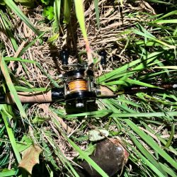 新しく買ったリールで釣りたくて