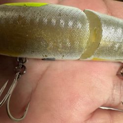 【ジョインテッドクロー】時には強気に攻めるのが吉!