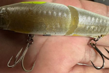 【ジョインテッドクロー】時には強気に攻めるのが吉!