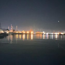 走る走る!青物か?