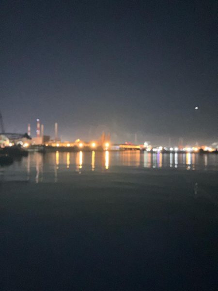 走る走る!青物か?