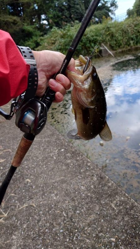 パンチショット!