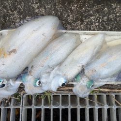 秋キロup最高ー!