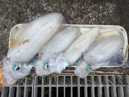 秋キロup最高ー!